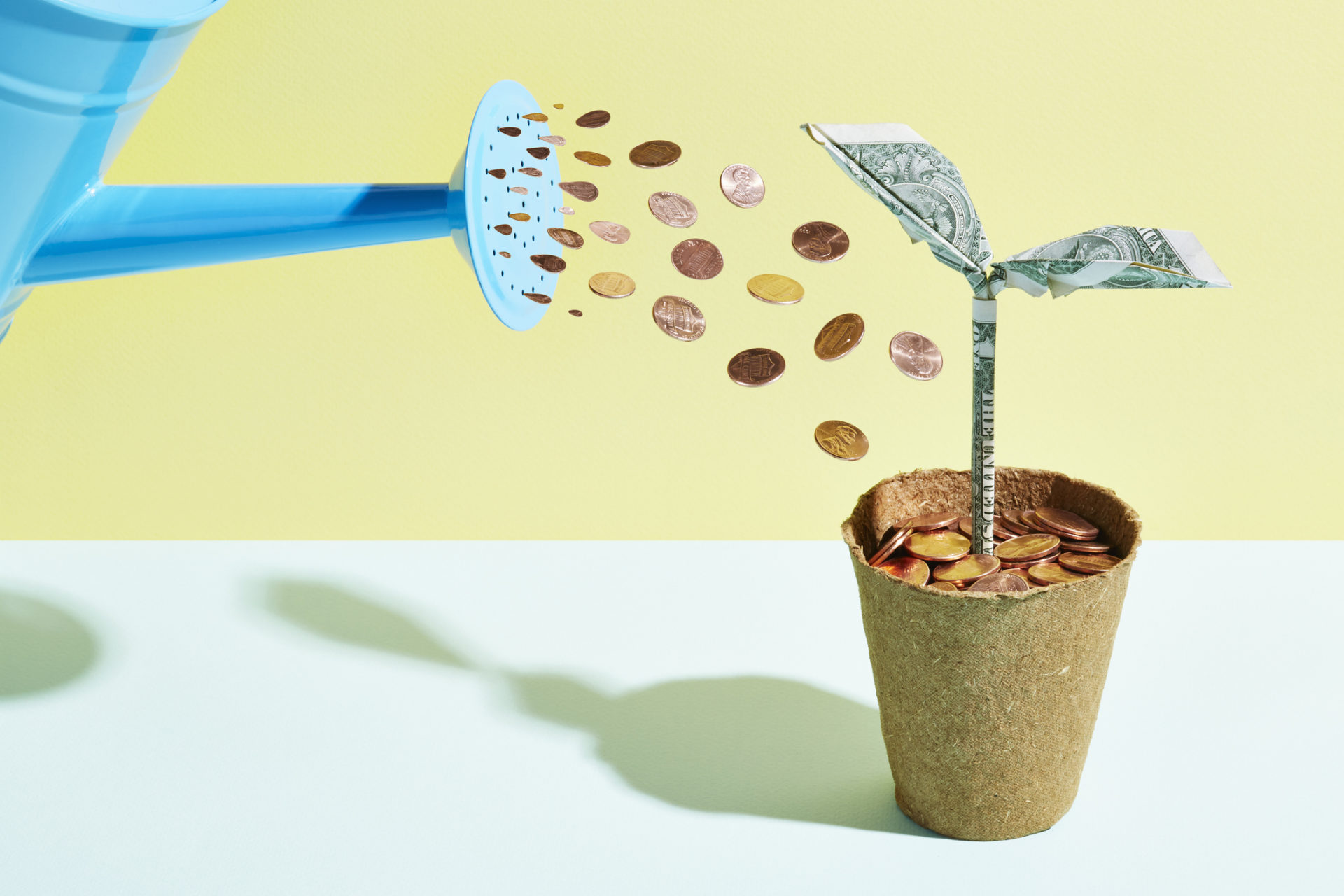 Plant being watered with coins