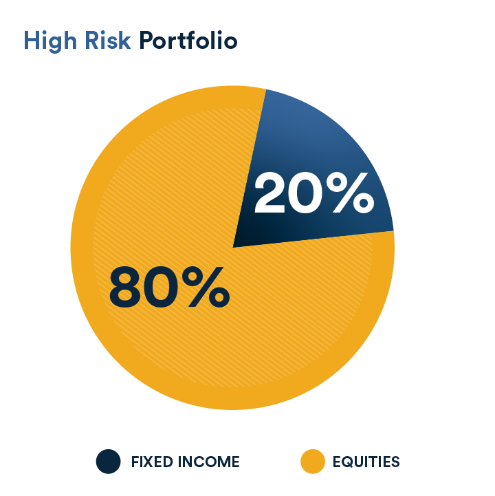 High risk portfolio example depicting distribution of 80% equities and 20% fixed income