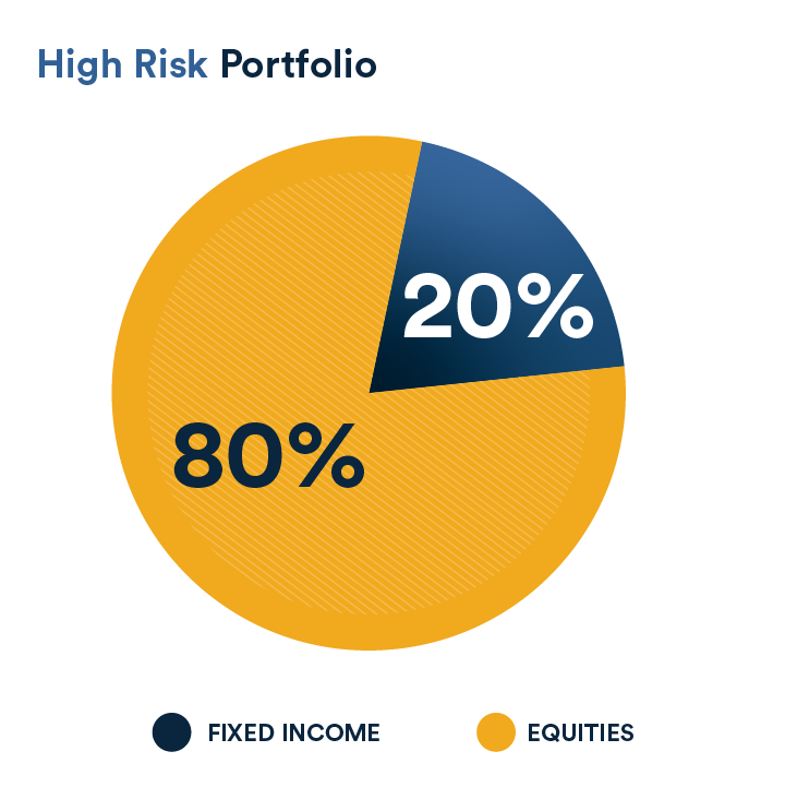 High risk portfolio example depicting distribution of 80% equities and 20% fixed income