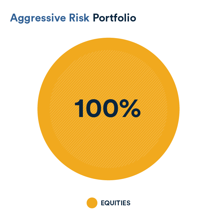 Aggressiverisk portfolio example depicting distribution of 100% equities