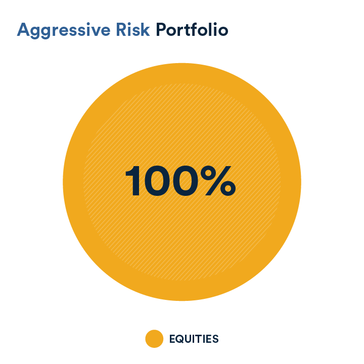 Aggressiverisk portfolio example depicting distribution of 100% equities