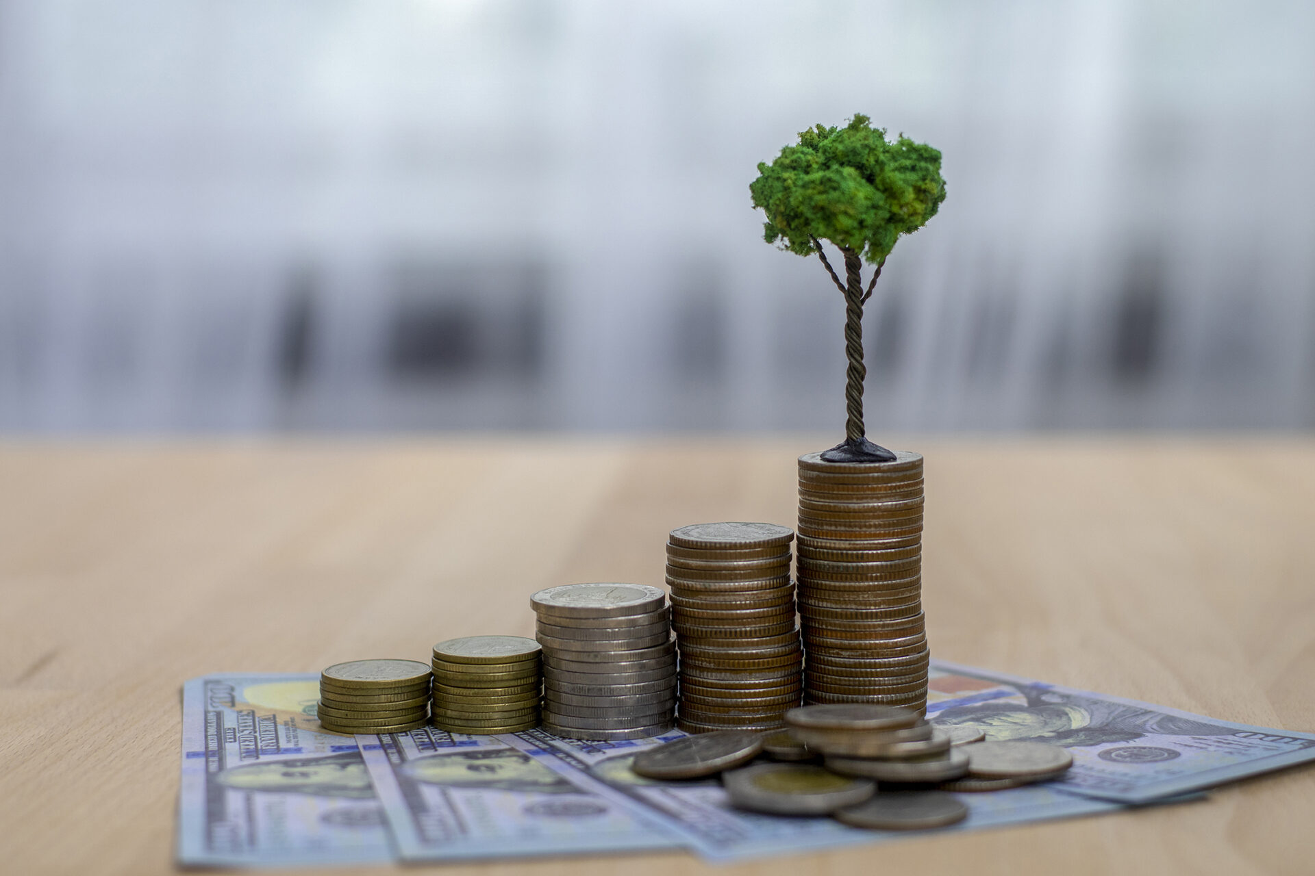 Progressively larger stacks of coins on hundred dollar bills, with a small tree to illustrate growth of savings.